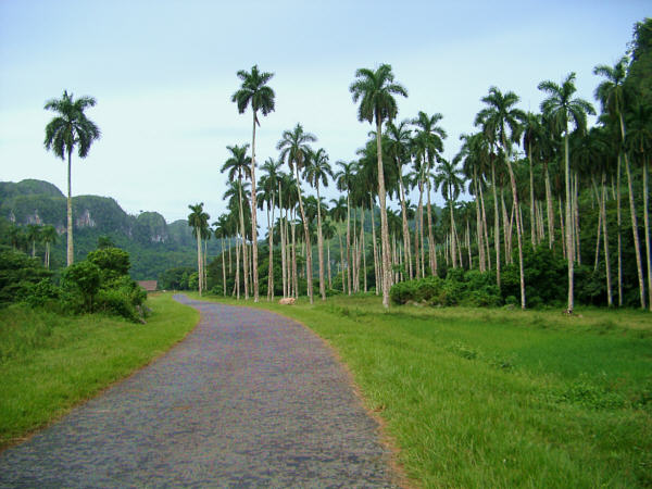 The San Carlos Valley