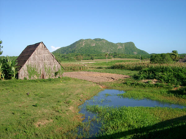 Barn near Guane