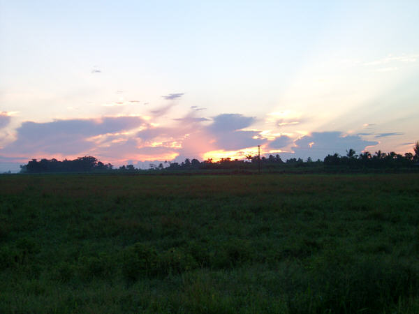 Sunrise on the plain
