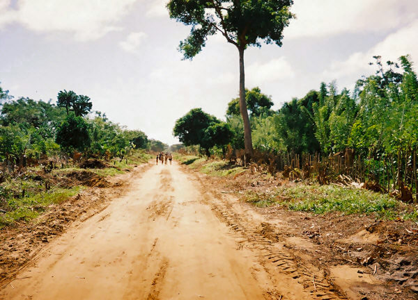Road to Sambava