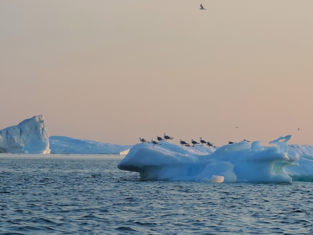 Ilulissat Icefjord