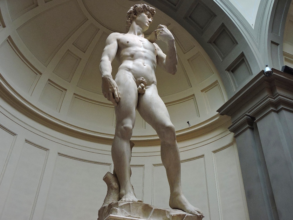  Michelangelo's David